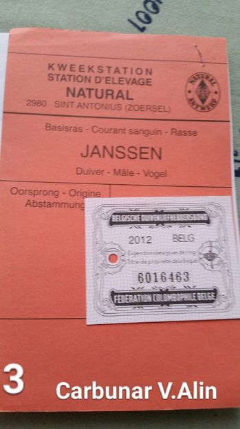 2017-10-07 15.40.31 - 1 voiajorii cu pedigree