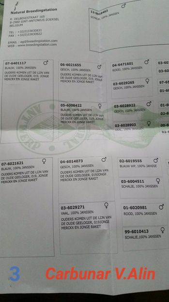 2017-10-07 15.41.19 - 1 voiajorii cu pedigree