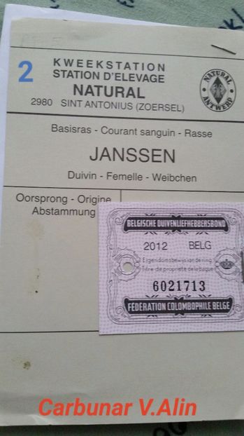 2017-10-07 15.38.29 - 1 voiajorii cu pedigree