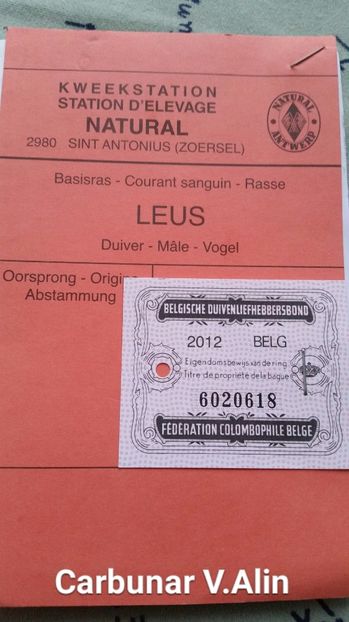 2017-10-07 15.35.05 - 1 voiajorii cu pedigree