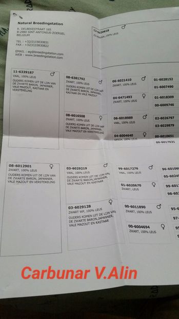 2017-10-07 15.37.20 - 1 voiajorii cu pedigree