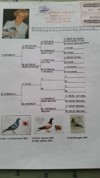  - 1 voiajorii cu pedigree