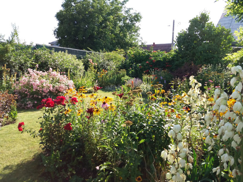 Picture 074 - Vara 2017