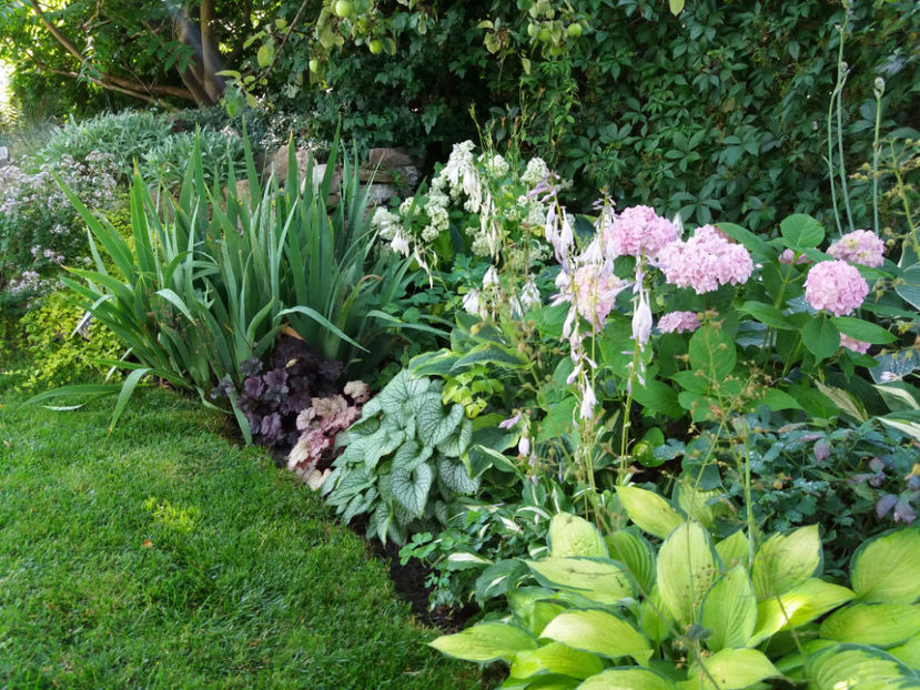 Picture 076 - Vara 2017