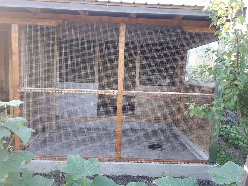 20182112_340526563035326_865544021_o - NOUA CRESCATORIE