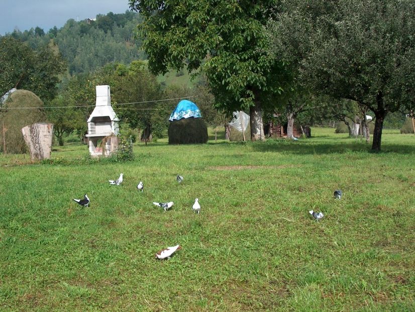 139SPL~1 - Amărăștenii mei și nu numai - Moieciu 2004