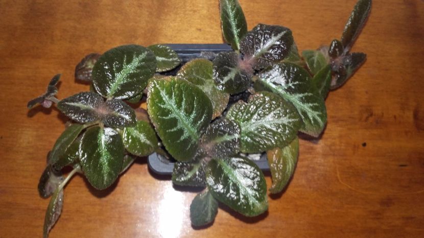 20171009_125450[1] - Suomi