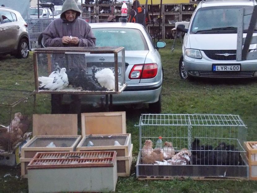  - TARG-2017-MONOR UNGARIA