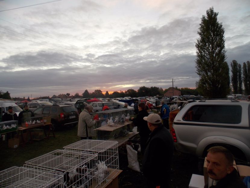  - TARG-2017-MONOR UNGARIA