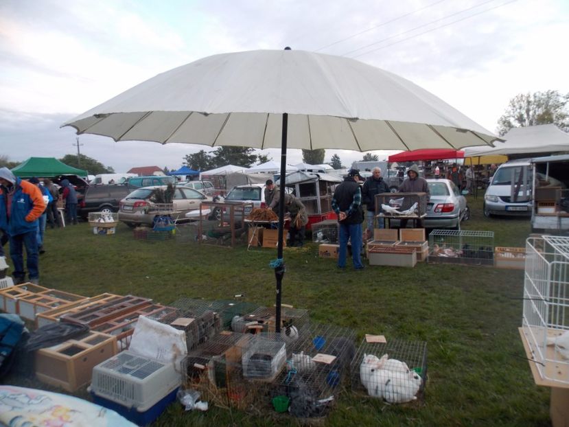  - TARG-2017-MONOR UNGARIA