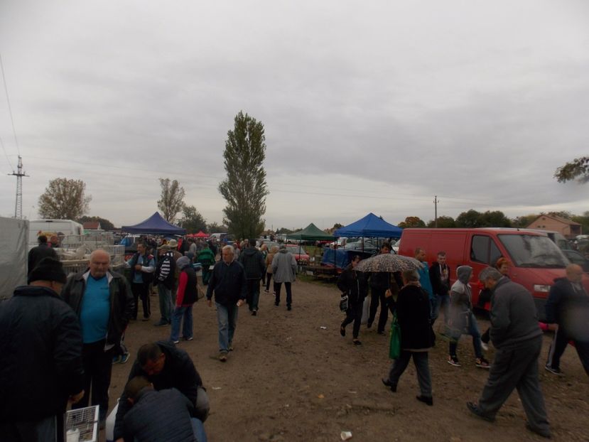  - TARG-2017-MONOR UNGARIA