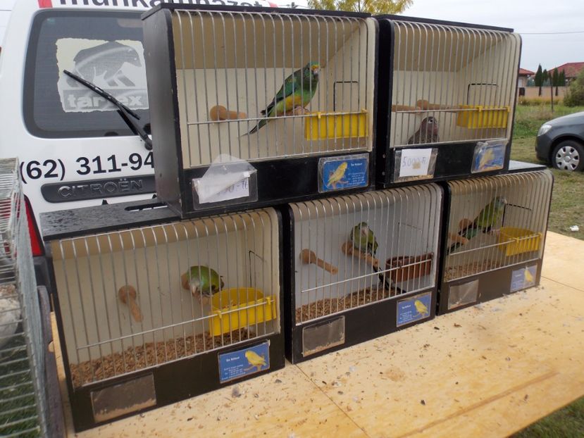  - TARG-2017-MONOR UNGARIA