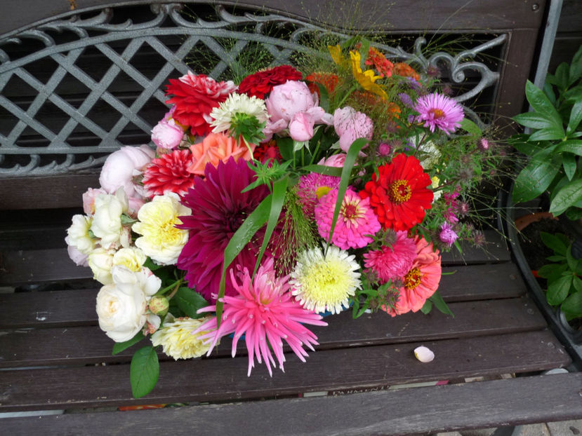 © - 01 - Floristica