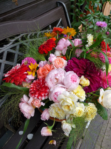 © - 01 - Floristica