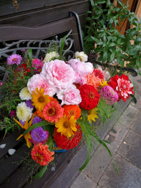 © - 01 - Floristica