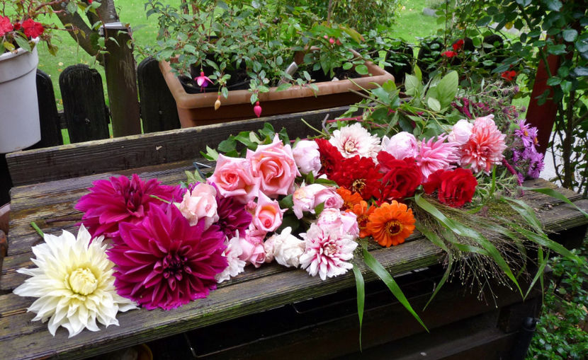 © - 01 - Floristica