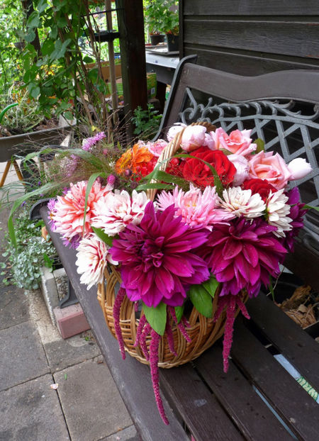 © - 01 - Floristica