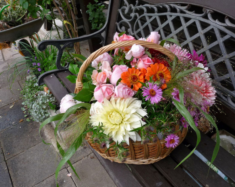 © - 01 - Floristica