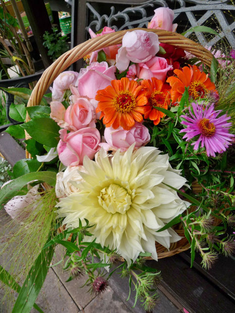 © - 01 - Floristica