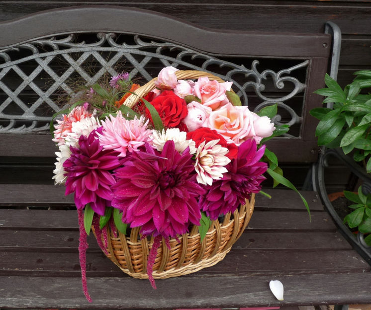 © - 01 - Floristica