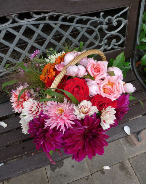 © - 01 - Floristica