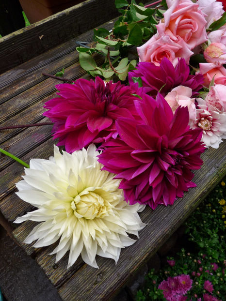 © - 01 - Floristica