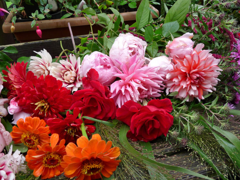 © - 01 - Floristica