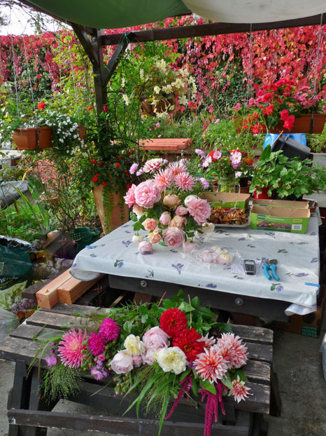 © - 01 - Floristica