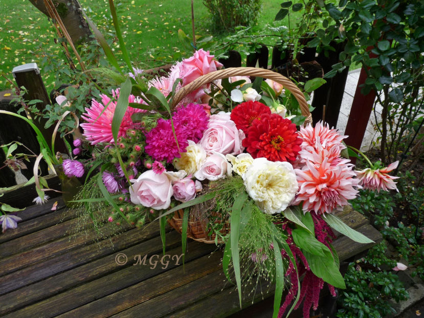 © - 01 - Floristica