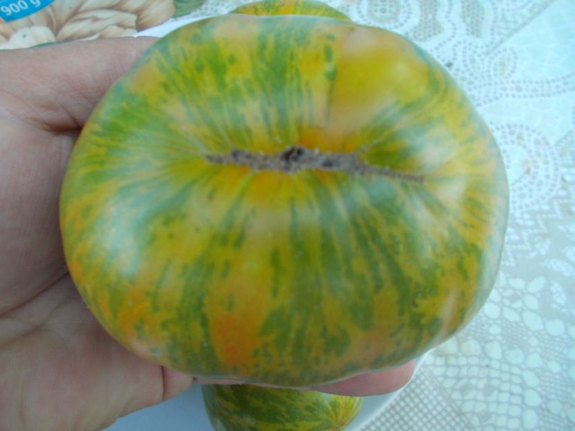  - SEMINTE ROSII - ZEBRA PICANTE