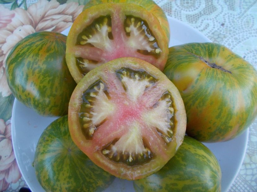  - SEMINTE ROSII - ZEBRA PICANTE