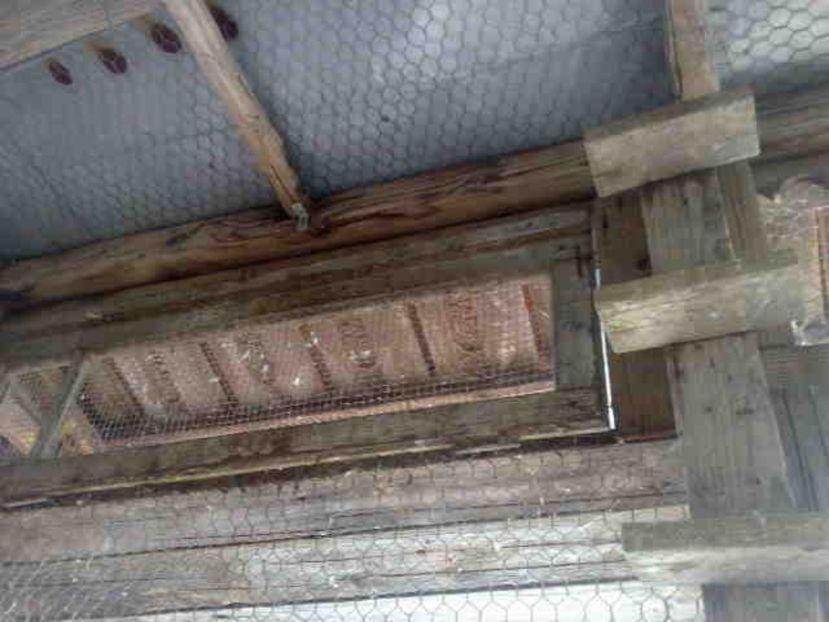 prima use inchisa - 139 victime facute de dihor in noaptea de 8 octombrie