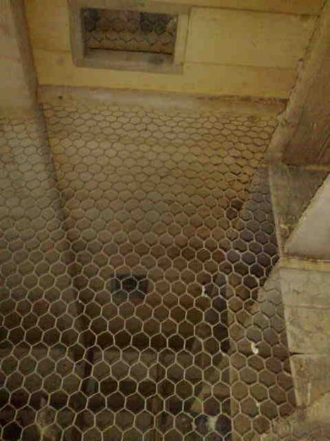 aerisiri - 139 victime facute de dihor in noaptea de 8 octombrie