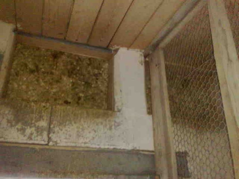 intrarile inchise - 139 victime facute de dihor in noaptea de 8 octombrie