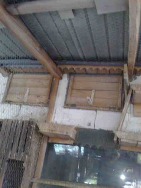 intrarile inchise - 139 victime facute de dihor in noaptea de 8 octombrie