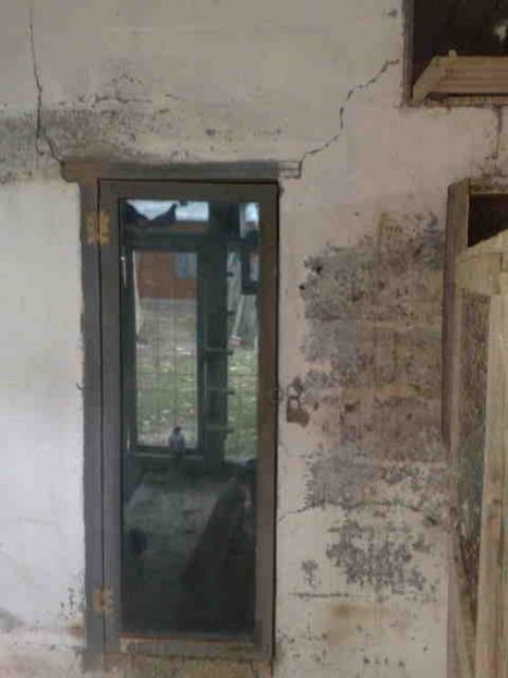 use cu geamuri duble - 139 victime facute de dihor in noaptea de 8 octombrie