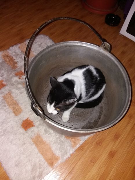  - Duracel în octombrie 2017