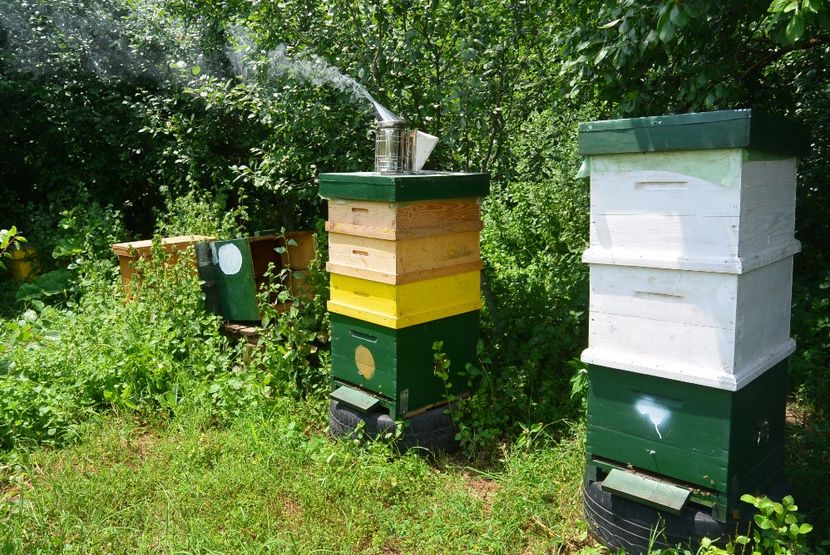  - 7 SCHIMB STUPI CU PAUNI