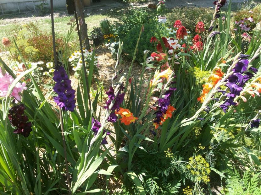  - Gradina Magura -Teleorman 2017