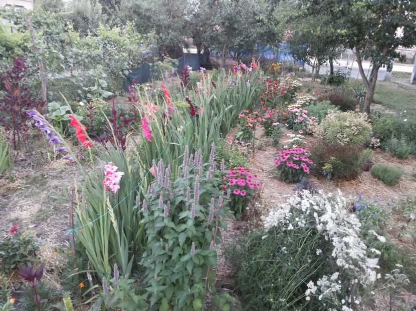  - Gradina Magura -Teleorman 2017