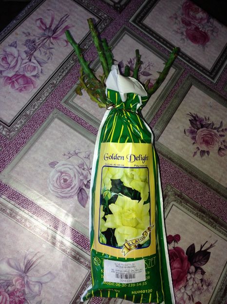  - Achizitii FLORI 2017