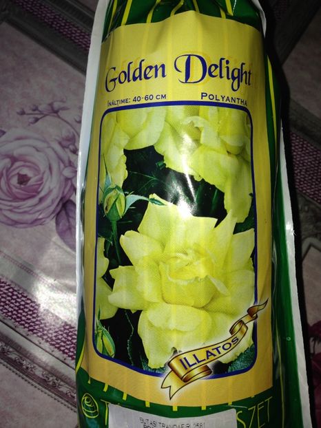  - Achizitii FLORI 2017