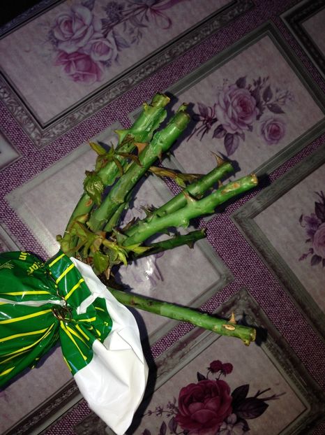  - Achizitii FLORI 2017