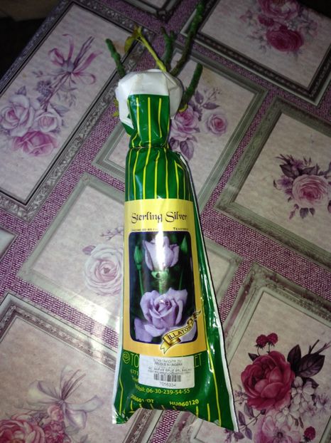  - Achizitii FLORI 2017