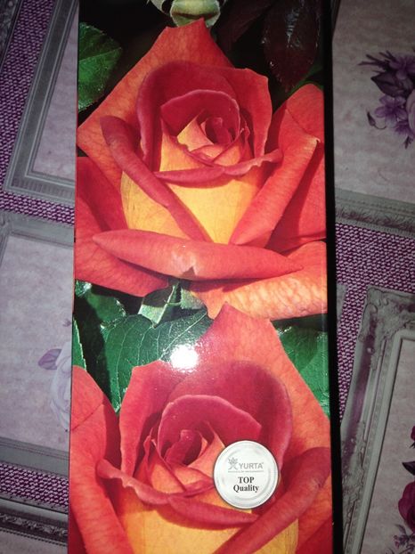  - Achizitii FLORI 2017