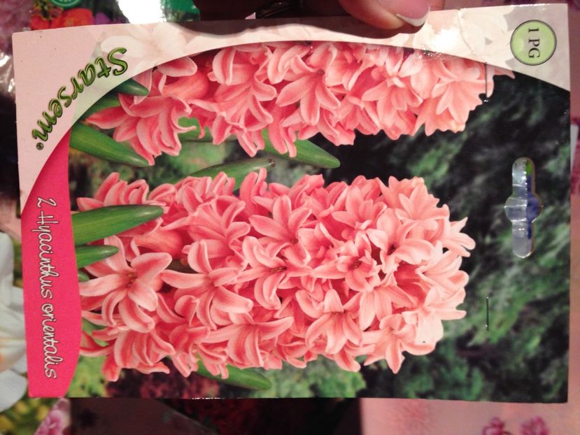  - Achizitii FLORI 2017