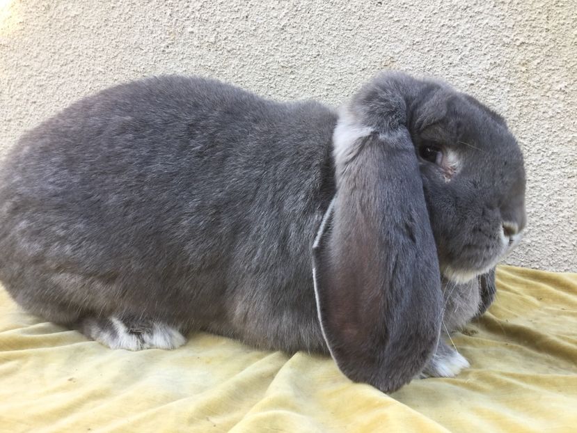 0F8EB12C-CC6F-4733-8224-19354D527559 - Femela 7