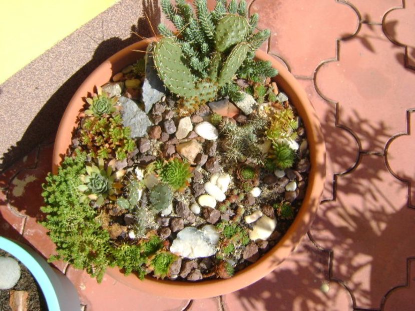 Minirocarie - Toamna 2016-2017