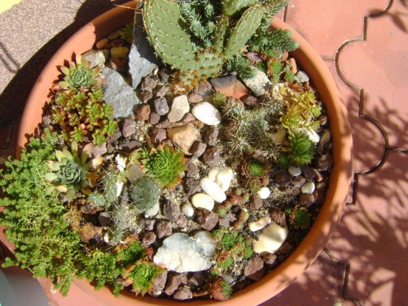 Minirocarie - Toamna 2016-2017