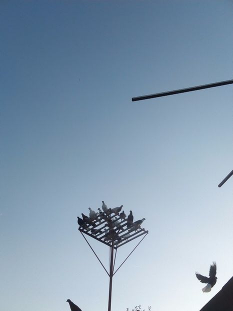  - Aspecte Iulie-August 2017